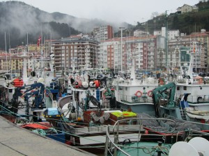 IMG_0015