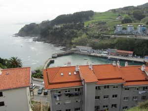 IMG_0241