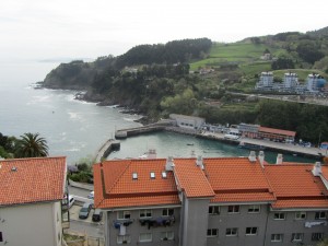 IMG_0242