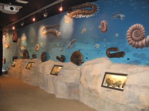 Mutrikuko Nautilus zentroa