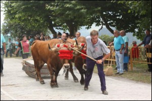 Idi probak, Iturretako San Kristobal jaietan
