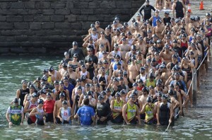 1236066_365841663548357_1305193643_n[1]