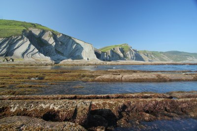 image_preview