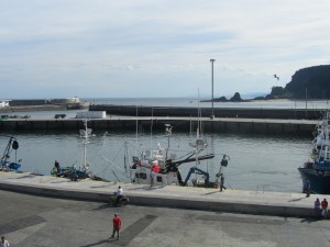 IMG_1766