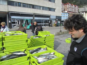 IMG_2784