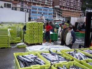 BERDELA__ONDARROAKO_KAIAN_