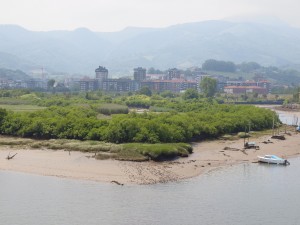 Lea estuarioa