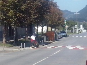 Etxebarriko zebrabidea