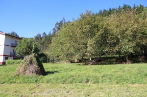 IMG_5970