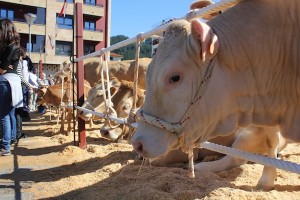 MARKINA_XEMEINGO_URRIKO_AZ