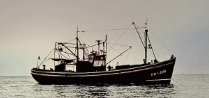 10313838_449889195114180_2839745800772599293_n