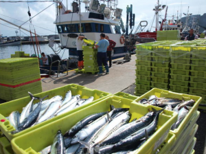 Captura de pantalla 2015-01-14 a la(s) 13.40.18