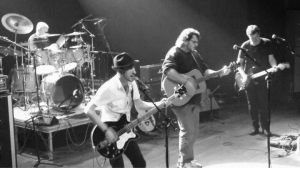 Piztiak taldea, kontzertuan