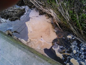 Isurketa Saturraran errekan. Argazkia: Eguzki