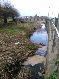 Isurketa Saturraran errekan. Argazkia: Eguzki
