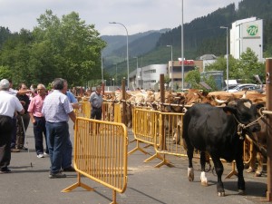 Jendea animaliak ikusten joan 2014ko Ganadu Azokan.