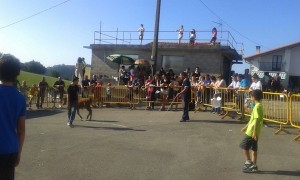 Ibiri eta bere animaliak