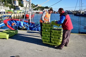 'Siempre Landera' ontziko marinelak arraina deskargatzen