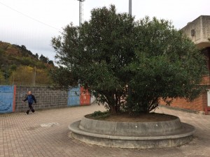 Ondarroako Zaldupe futbol zelaiaren aurreko harrizko eserlekua; egun argiz labezomorrorik ez da ikusten.