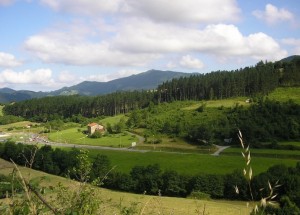 Markina-Xemeingo Bidaurreta ingurua.
