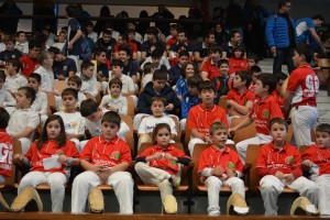 Pilotari gazteak harmailetan