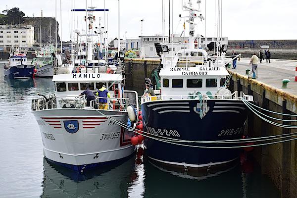 Baxurako ontziak Ondarroako portuan lotuta