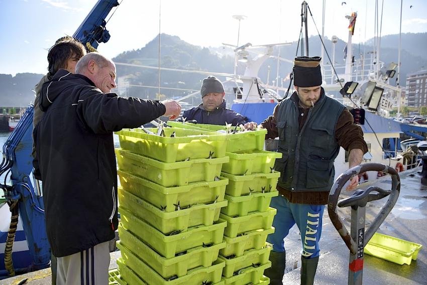 Baxurako arrantzaleak sardina deskargatzen Ondarroan