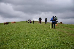 Mendizaleak mendian gora. Argazkia: Burumendi