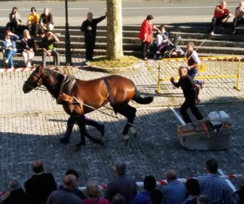 ziortza bolibar zaldi ikuskizuna