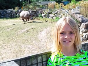 Lizar Txopitea Pagaegi