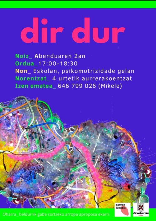 Dir dur Etxebarria