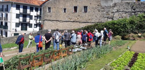 Tomate eta piperren gaitzen inguruko ikastaroa egin dute Lekeition. Argazkia: Lekitto Bedarra.