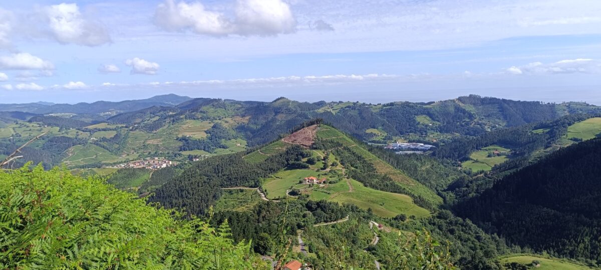 Berriatuko mendi eta basoak