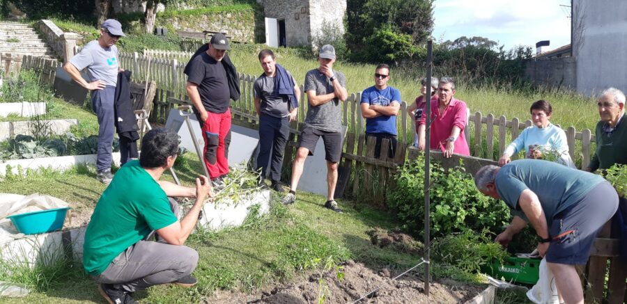 Tomate ikastaroa, Lekeitioko Usotegi Herritarren Ortuan