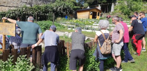 Tomate ikastaroa, Lekeitioko Usotegi Herritarren Ortuan