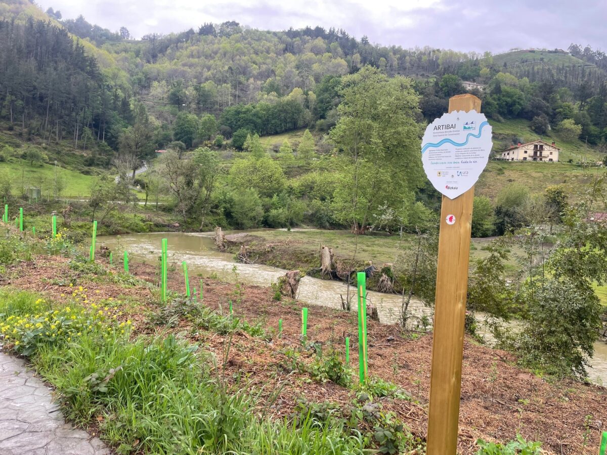 Artibai ibaia Berriatuan