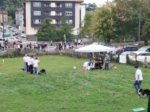 III. Artzain Txakurren Lehiaketa, Markina-Xemeinen