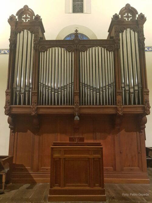 Markina-Xemeingo organoa