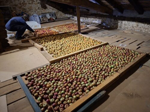 Mendexako udal egutegiko irabazleetako bat.