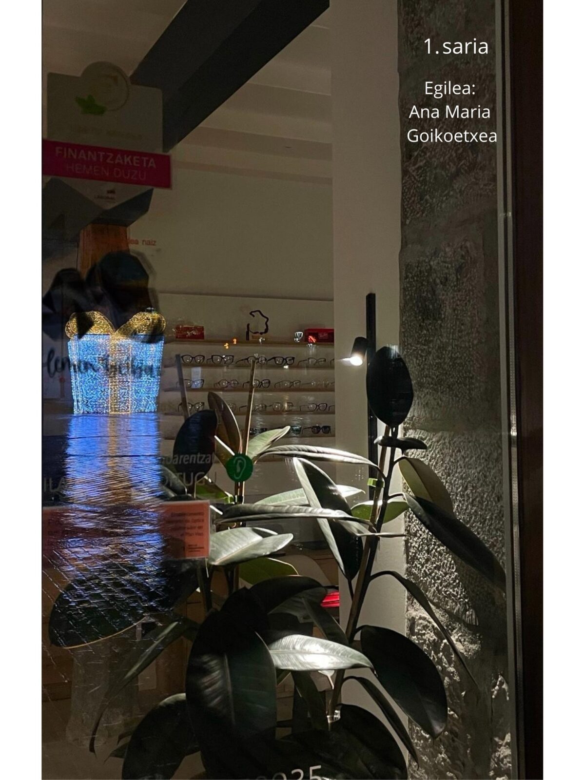 Piztu Dendak argazki lehiaketa. Ana Maria Goikoetxearen irudia.