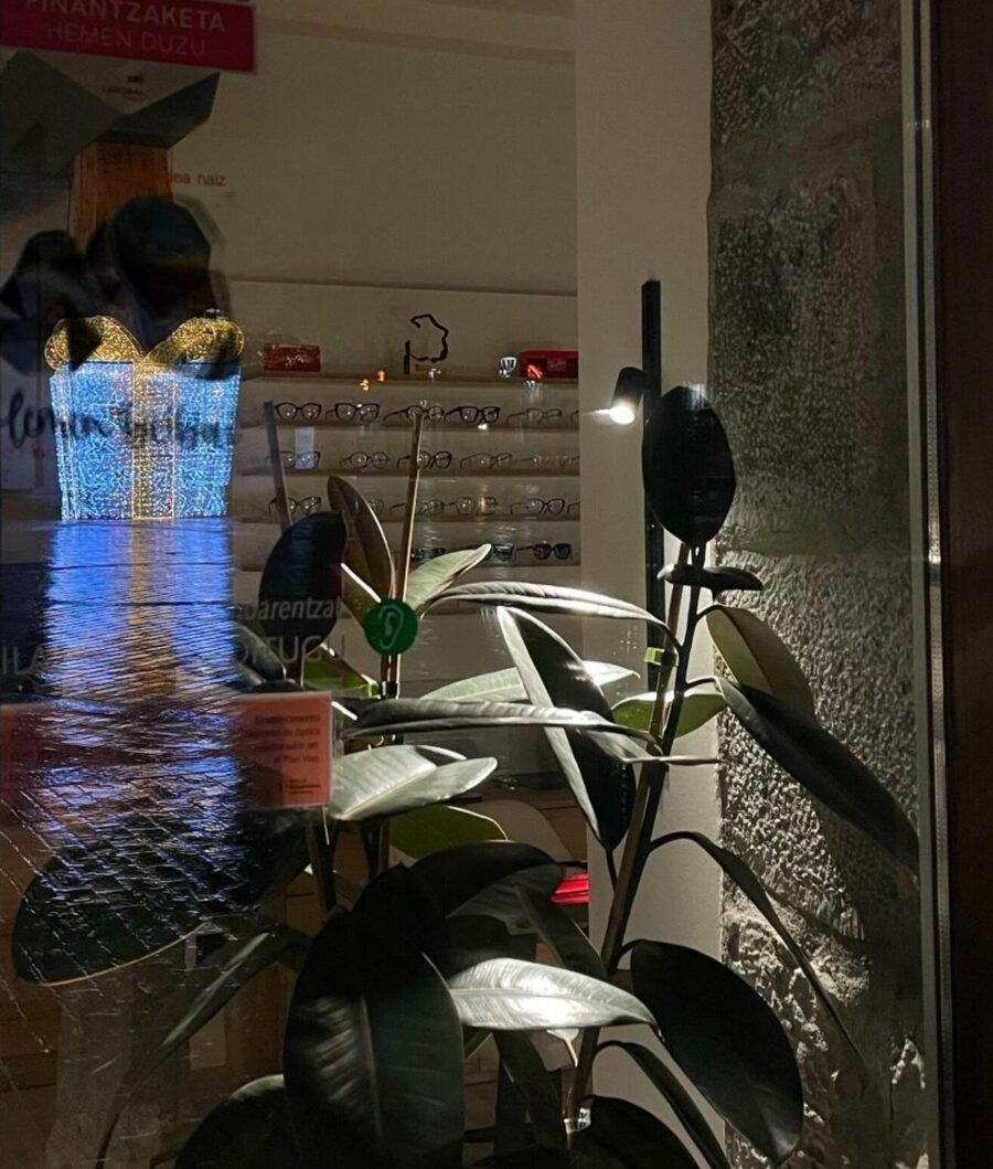 Piztu Dendak argazki lehiaketa. Ana Maria Goikoetxearen irudia.