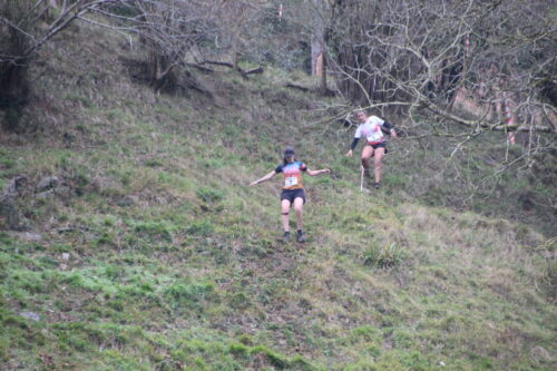 VI. Kalamua-Barinaga jaitsiera. San Anton jaiak.