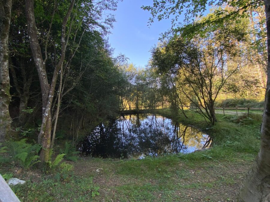 Mutrikuko Ormolako putzua