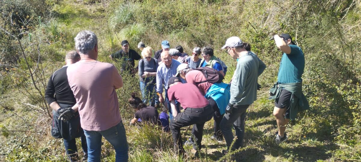 akazia erretiratzen ziortza-bolibar