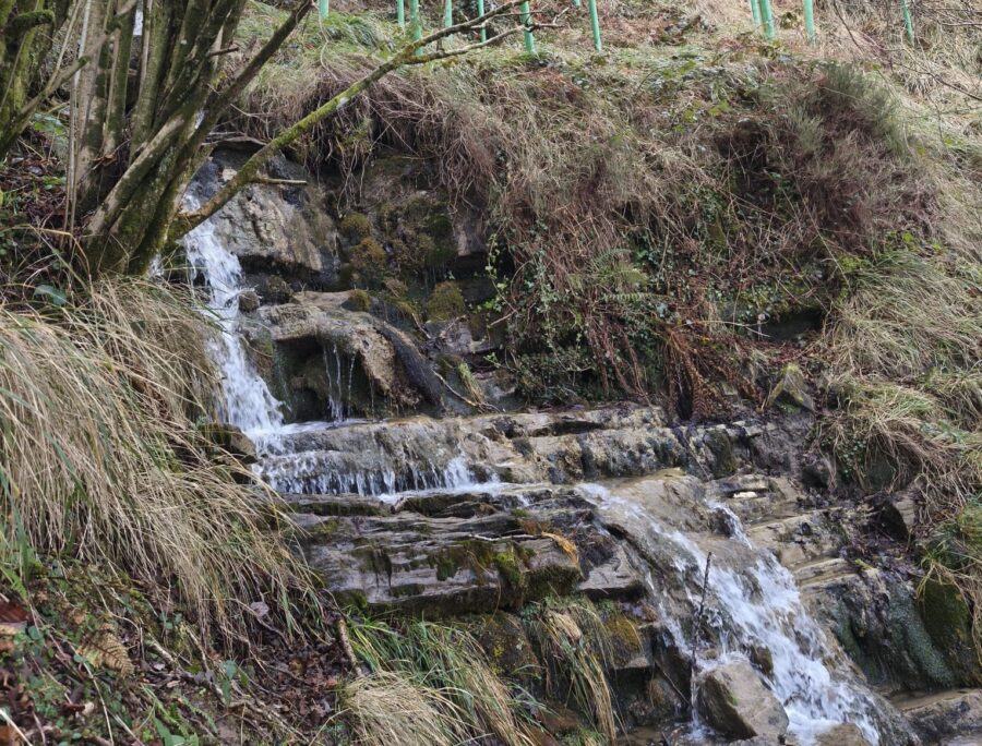 markola ziortza-bolibar